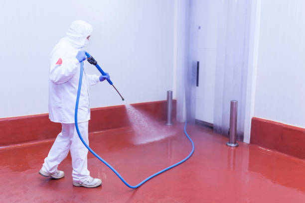 Best Post-Construction Pressure Washing  in Marion, AL